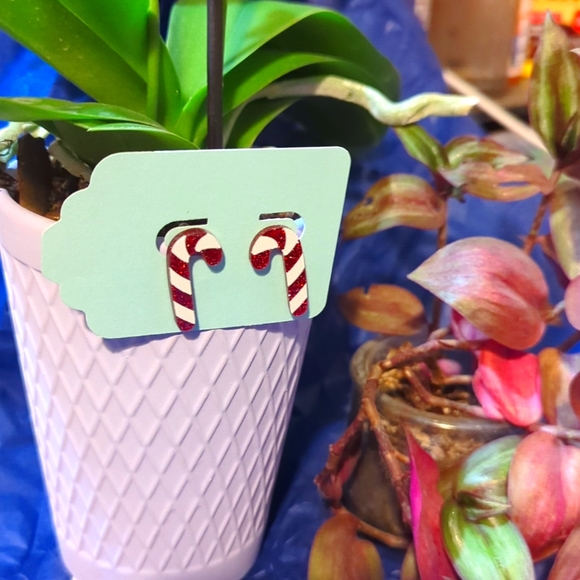 NIP: 🎄🎁♥️CHRISTMAS/HOLIDAY CANDY CANE (1")♥️🎁🎄 GLITTER acrylic post earrings - Picture 3 of 5